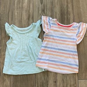 Girls toddler shirt bundle